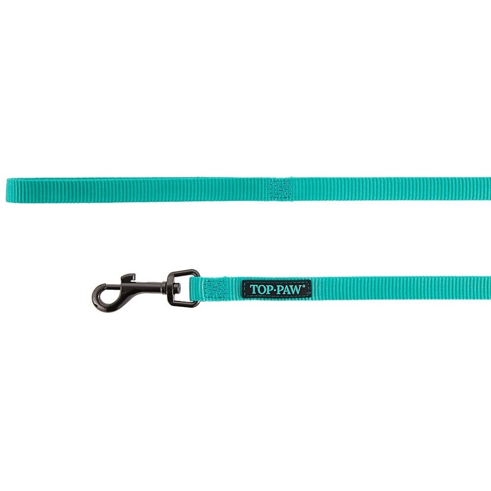 NWOT Top Paw® Gunmetal Dog Leash: 6-ft long, teal